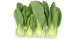 baby-bok-choy-1